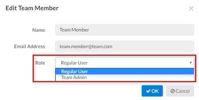 Edit Roles for Team Members
